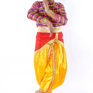 Indian Semi Classical Dance Costumes