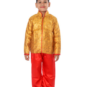 Indo Western Dance Fancy Dress Costume
