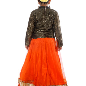 Indo Western Style Long Skirt Top Fancy Dress Costume