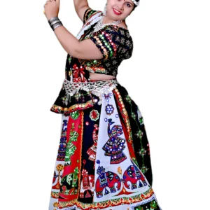 Women Garba Lehenga Choli Fancy Dress